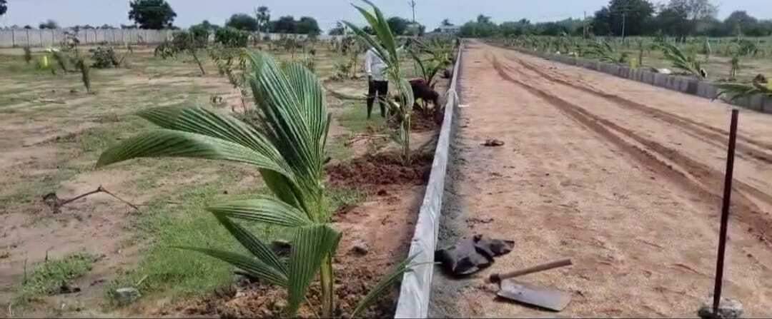  yadadri sunrise county Plot