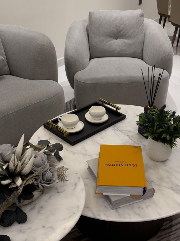  luxury homes Living Area