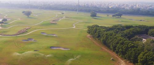  golf-view-condos Landscape Garden and Tree Planting