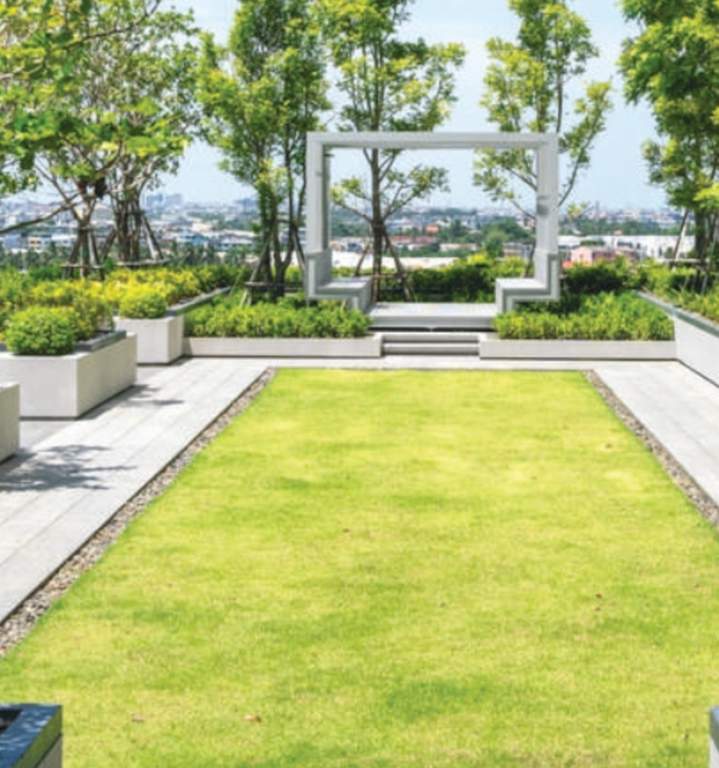  the green arc Landscape Garden and Tree Planting