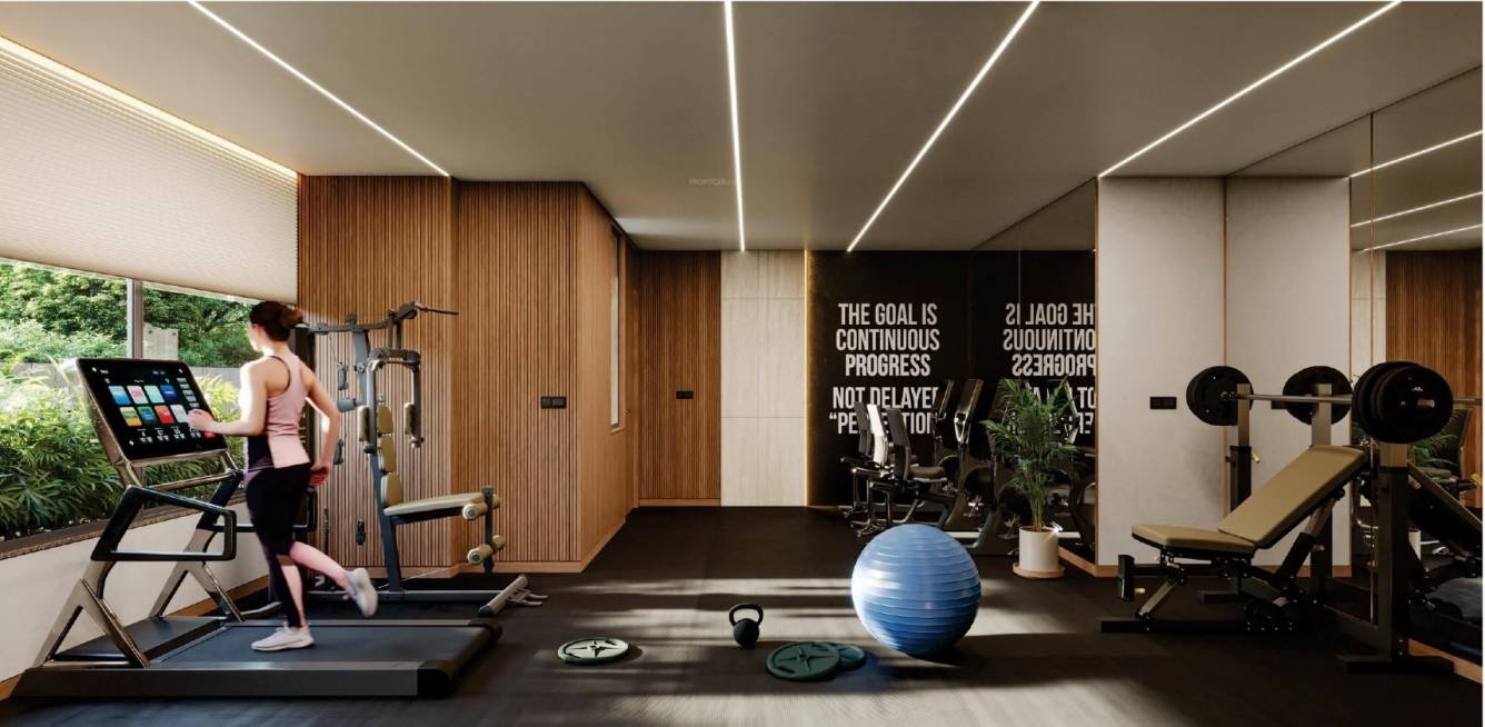  veltis the second Gymnasium