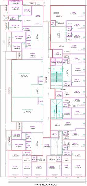  precious-infinity Precious Infinity Cluster Plan for 1st Floor
