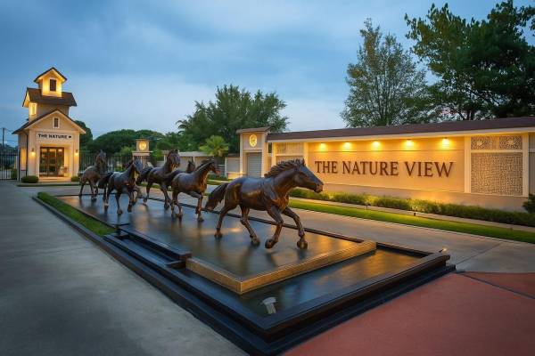 Others the-nature-view Others