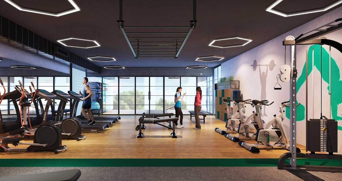  capital city phase 1a Gymnasium