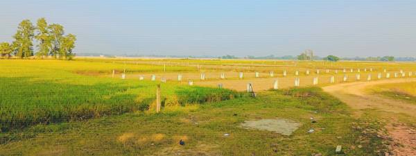  global-village-township Elevation