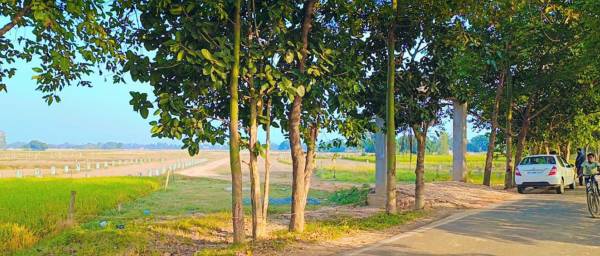  global-village-township Plot