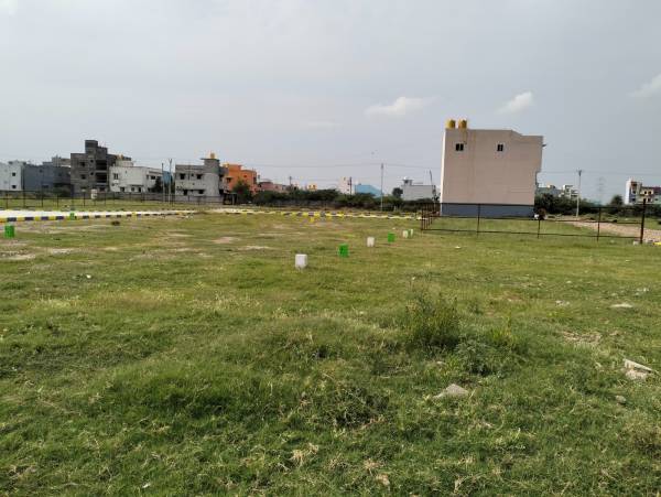 Elevation white-city Elevation