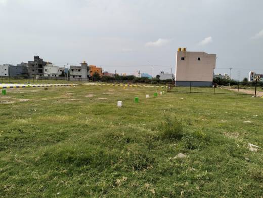 white-city Elevation Elevation