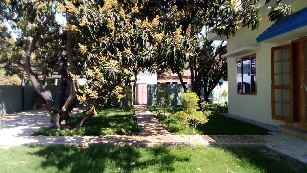  haridwar mango farm house phase 3 Landscape Garden and Tree Planting