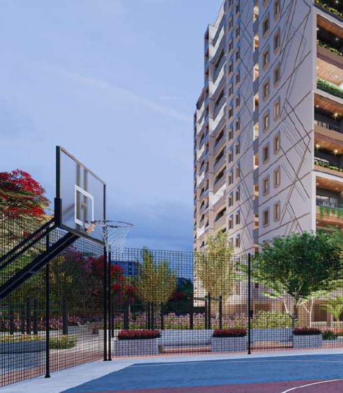  kings land Basketball Court