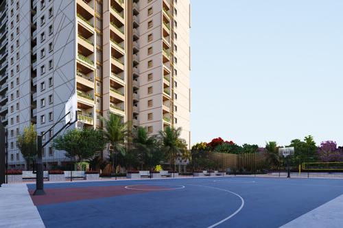  kings-land Basketball Court