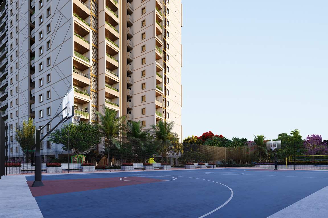  kings land Basketball Court