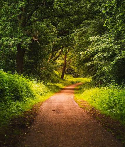  satvam-hills-c1 Jogging Track