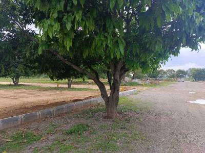  godavari-green-farms Plot
