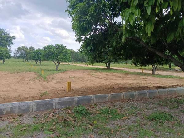  godavari-green-farms Plot