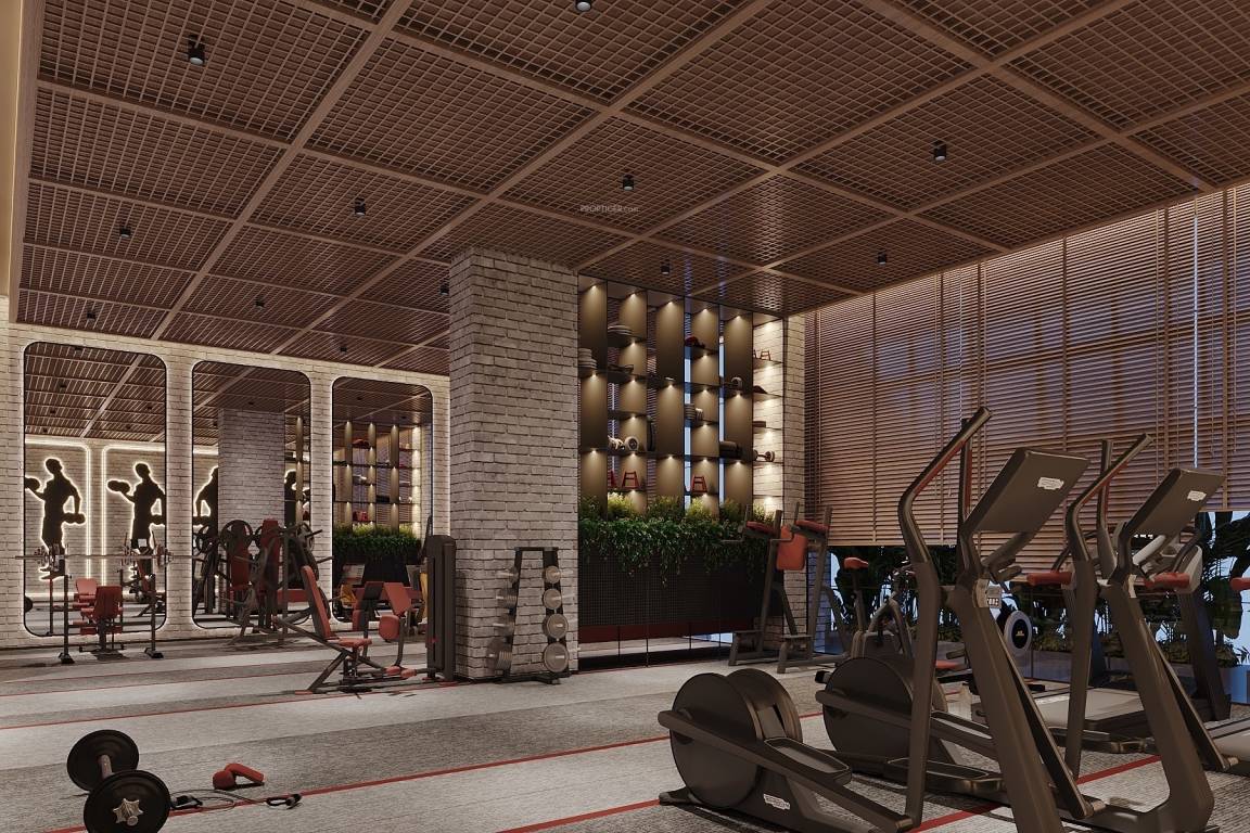  evolvus phase iii Gymnasium