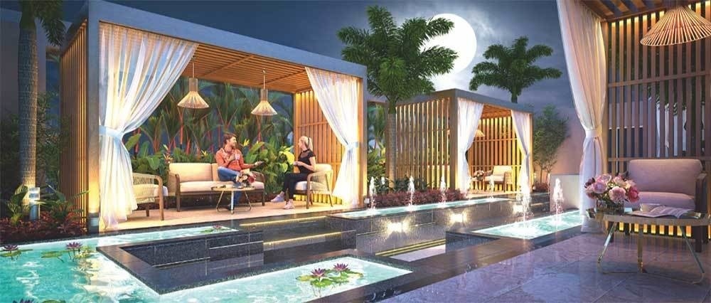  evolvus phase iii Others