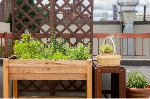 Landscaped Gardens saara-homes Landscaped Gardens