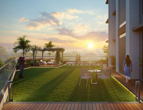  infinia-plus Landscape Garden and Tree Planting