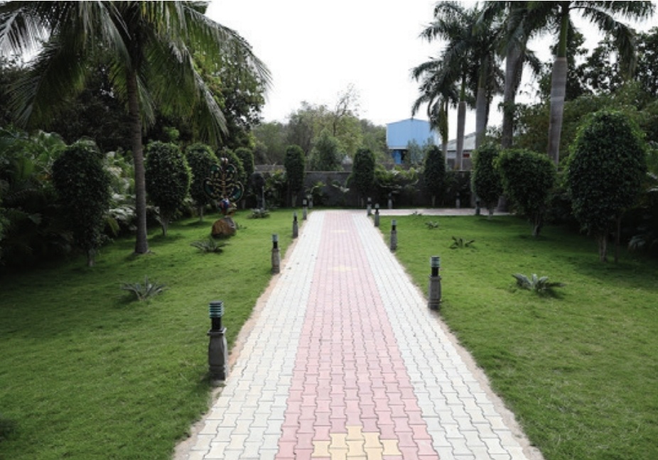  docla project Landscape Garden and Tree Planting