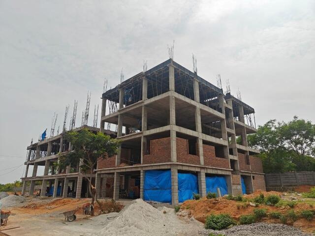 Umas Bloom Park Magnolia