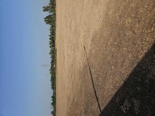  vitrag-bunglows Elevation