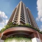 Elevation stone-ridge Elevation