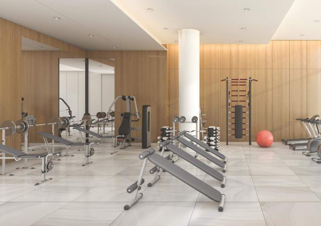  stone ridge Gymnasium