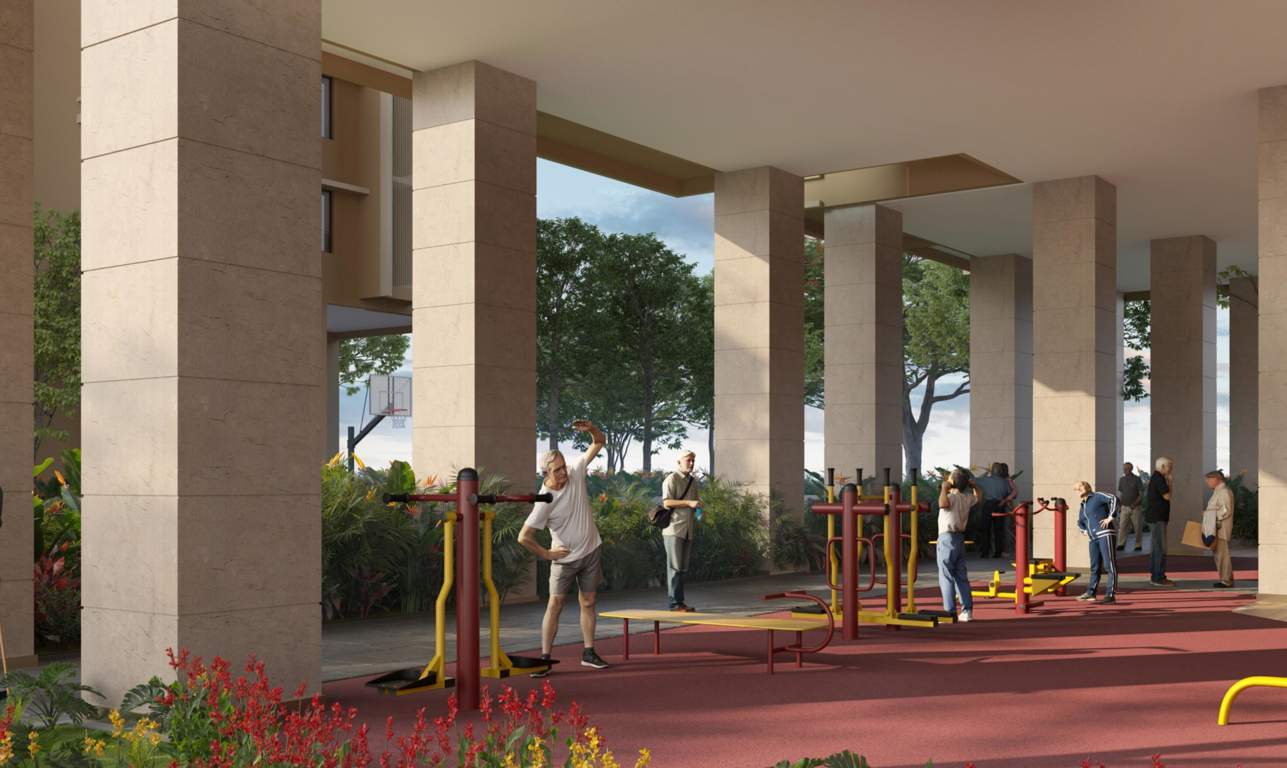  stone ridge Open Gym