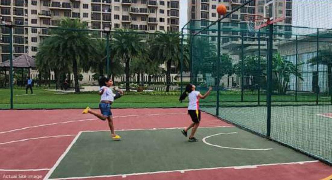 elante 38 Basketball Court