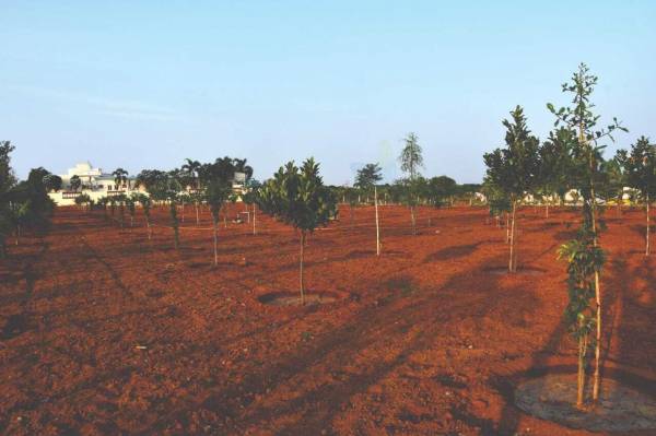  sri-vaarahi-homes Elevation