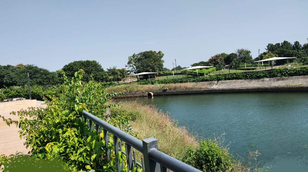  tricone city new Natural Pond