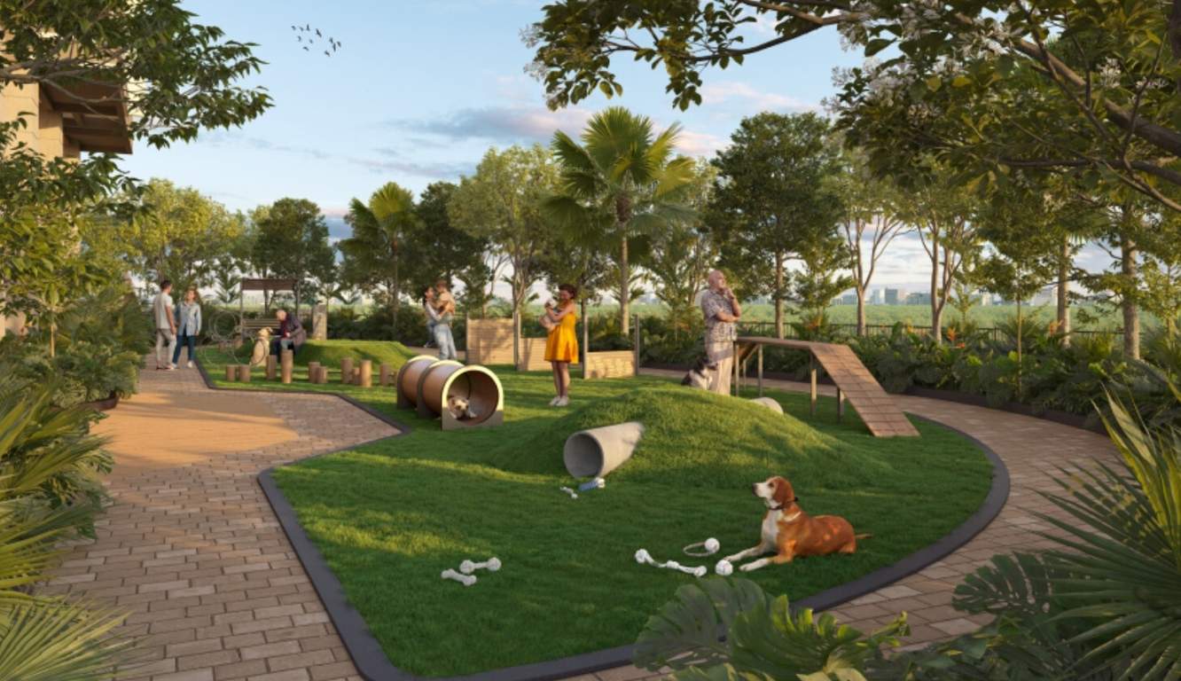  stone ridge north Landscape Garden and Tree Planting