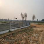  daleindia-rameshvarm-city Elevation