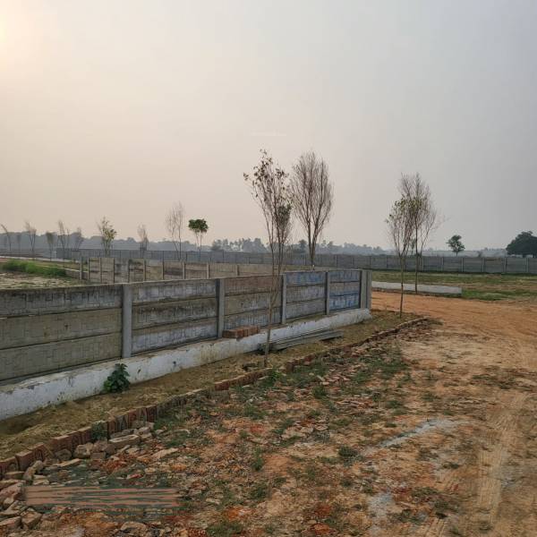 Elevation daleindia-rameshvarm-city Elevation