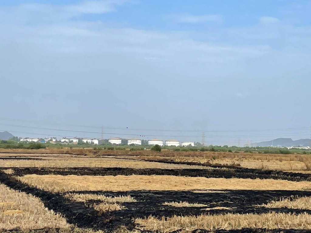 plots in prikon Plot