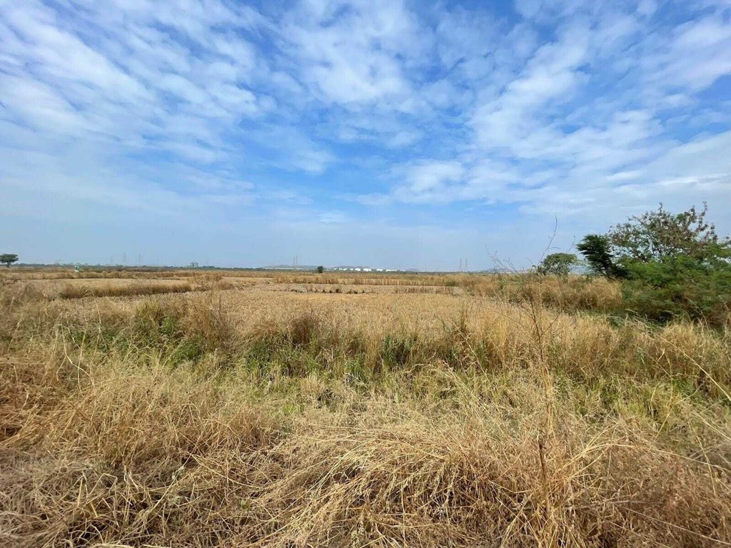 plots in prikon Plot