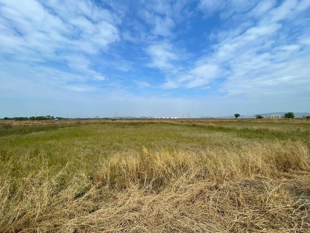 plots in prikon Plot