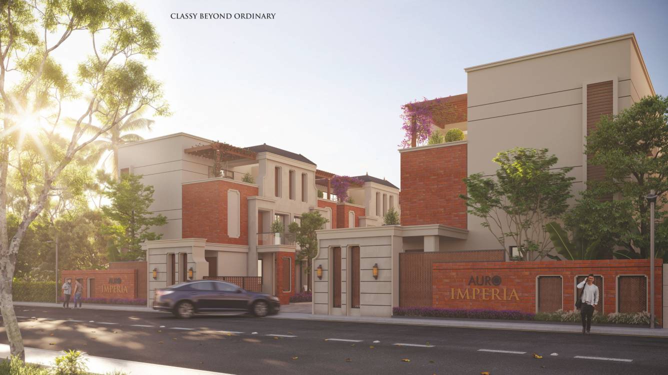  auro imperia Elevation