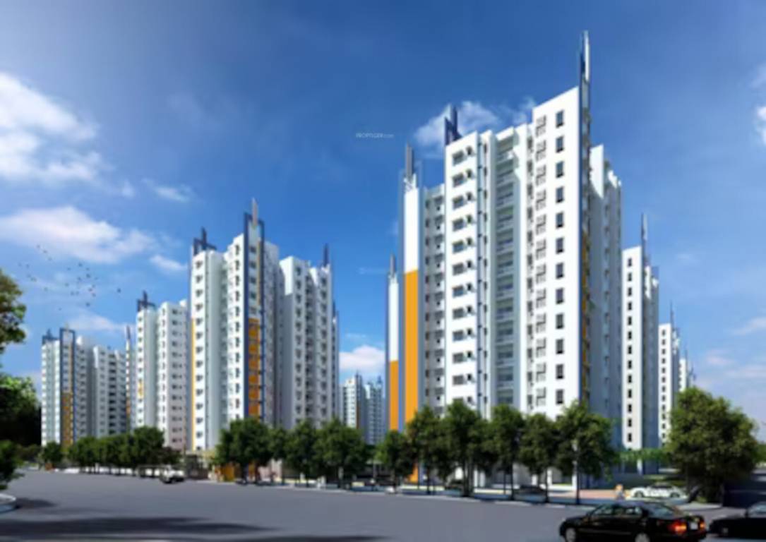  springfield duplex Elevation