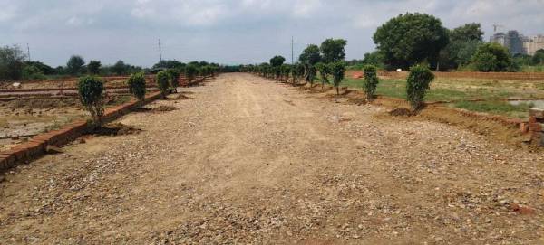  royal-paradise Elevation