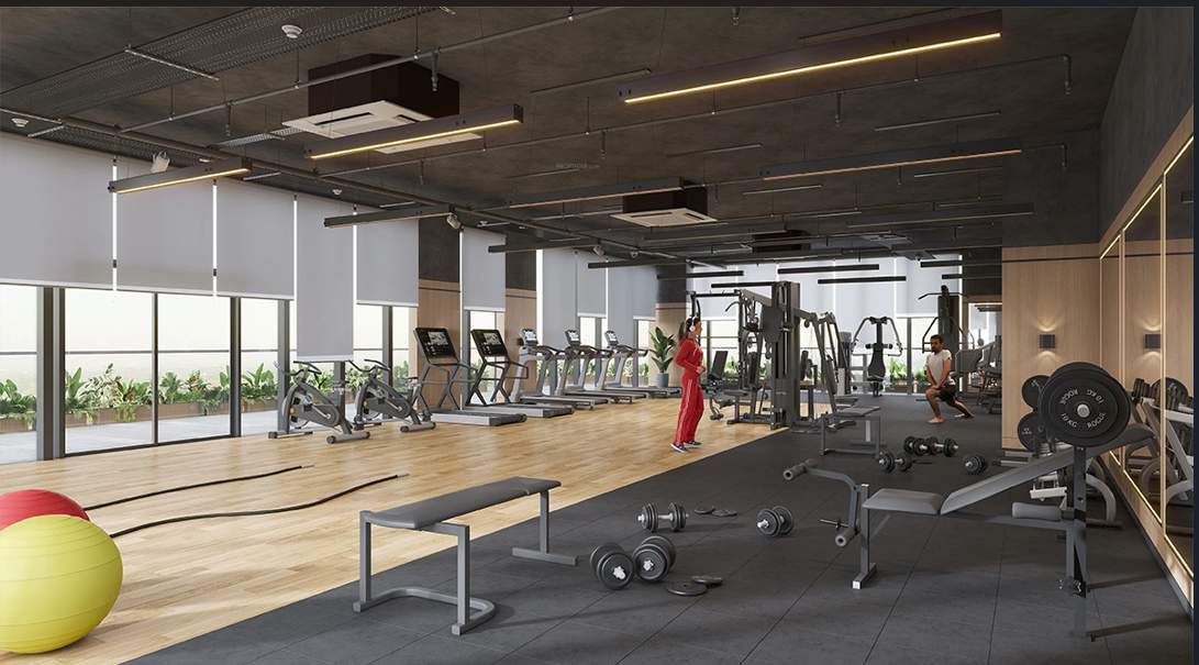  the eminent Gymnasium