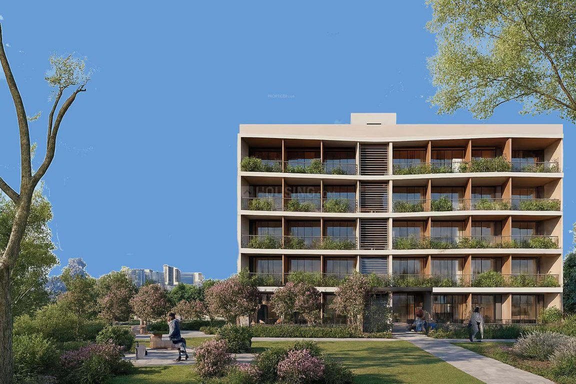  winds of life Elevation