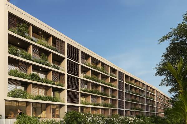  winds-of-life Elevation