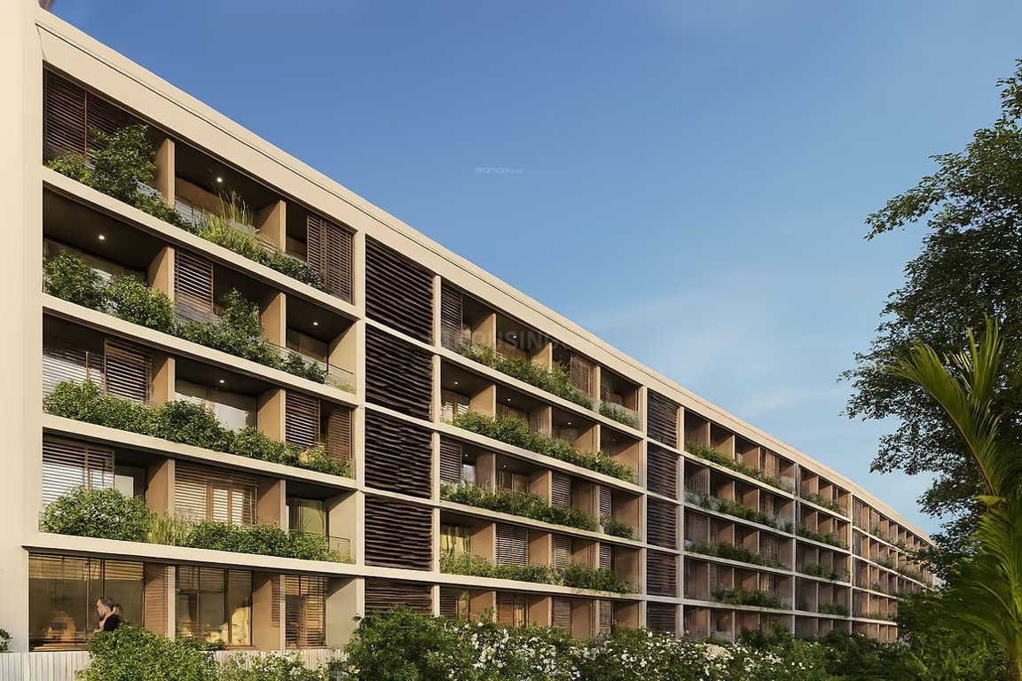  winds of life Elevation