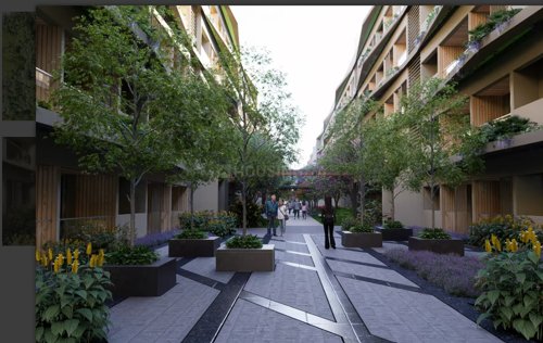  winds-of-life Others