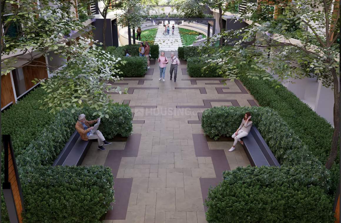  winds of life Senior Citizen Sitout