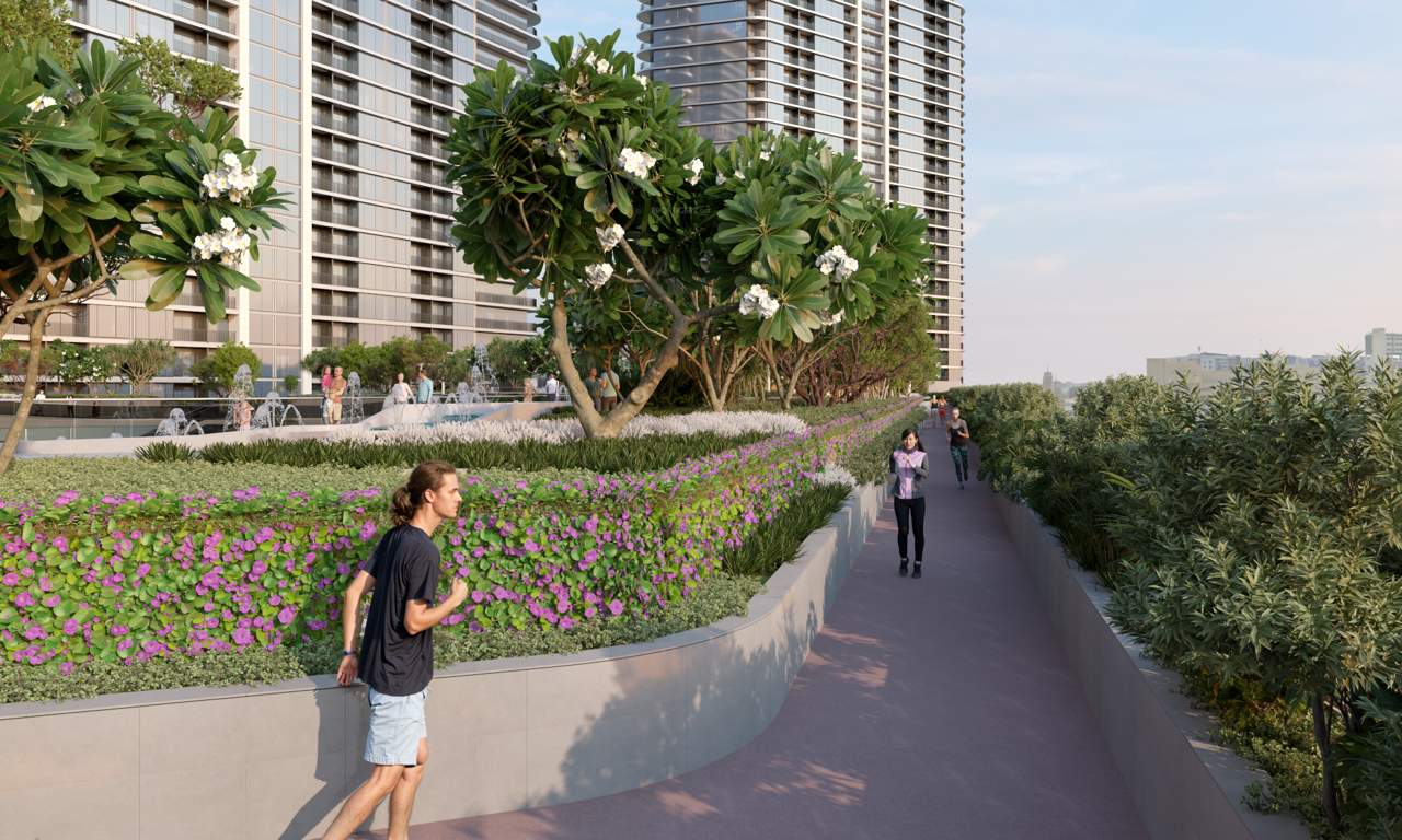  solis Landscape Garden and Tree Planting