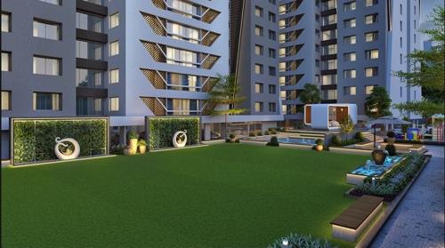  spectrum Landscape Garden and Tree Planting