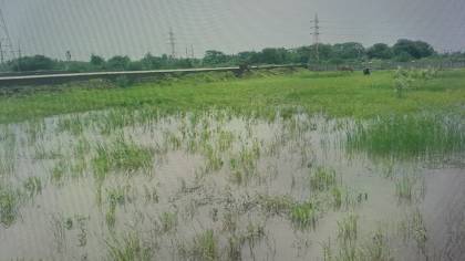 Elevation embro-park Elevation